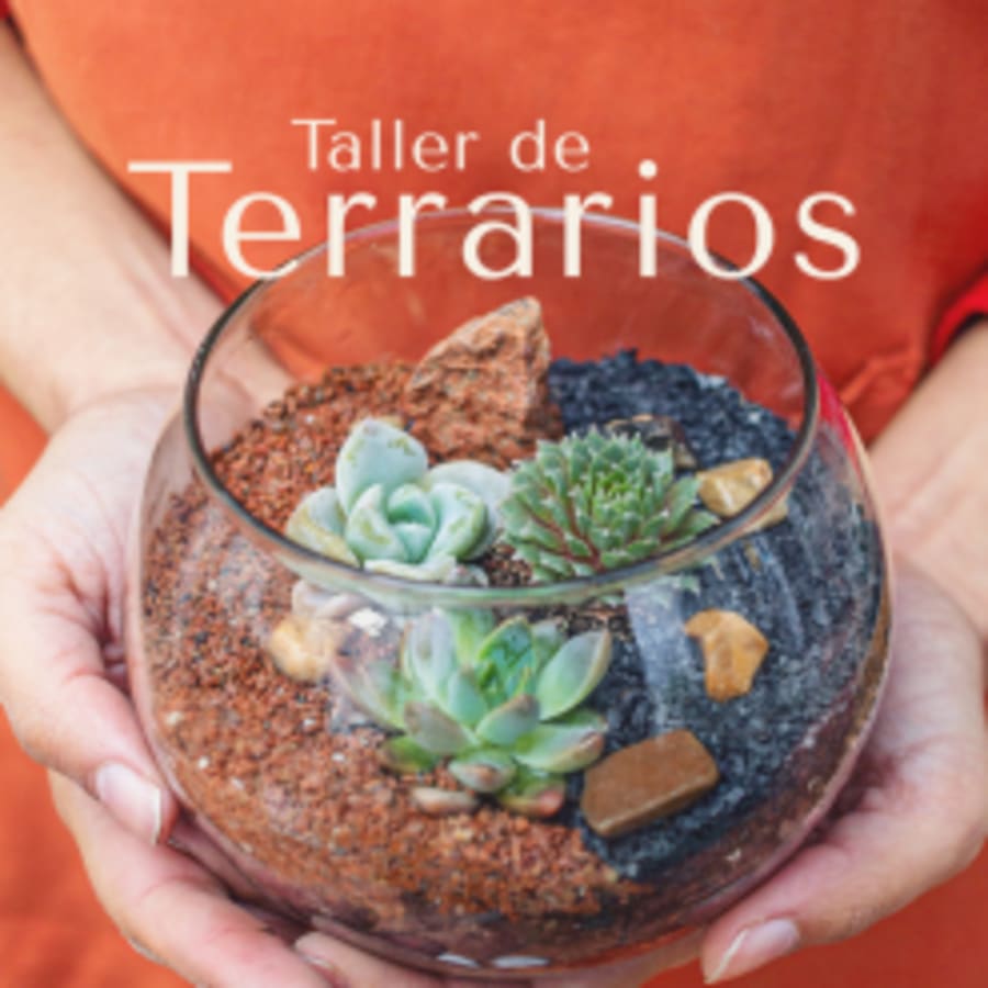 Taller de Terrarios (Presencial)